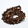 Chip Natural Tiger Eye Beads Strands X-G-N0134-09-2