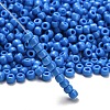 TOHO 6/0 Round Beads SEED-TR06-0043D-2