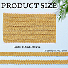 Polyester Lace Trim OCOR-WH0109-356C-2