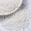MIYUKI Round Rocailles Beads SEED-G008-RR0420-1