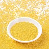 MIYUKI Round Rocailles Beads X-SEED-G007-RR0422D-2