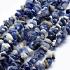 Natural Sodalite Beads Strands G-P332-21-1