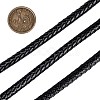Braided Leather Cord with Core WL-F009-B02-8mm-5