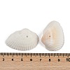 Natural Shell Beads SHEL-K009-15-3