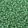 MIYUKI Round Rocailles Beads X-SEED-G007-RR0646-3