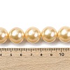 Electroplated Shell Pearl Beads Strands BSHE-G041-16mm-01-4