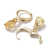 Golden Brass Dangle Hoop Earrings EJEW-L269-045G-04-2