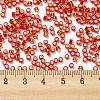 Glass Seed Beads SEED-S042-04A-10-4