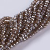 Electroplate Glass Beads Strands GLAA-F078-FP05-1