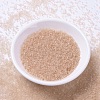 MIYUKI Delica Beads SEED-J020-DB1410-2