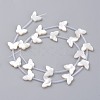 Natural White Shell Mother of Pearl Shell Beads SSHEL-L018-013-3