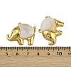 304 Stainless Steel Resin Pendants STAS-L302-05G-3