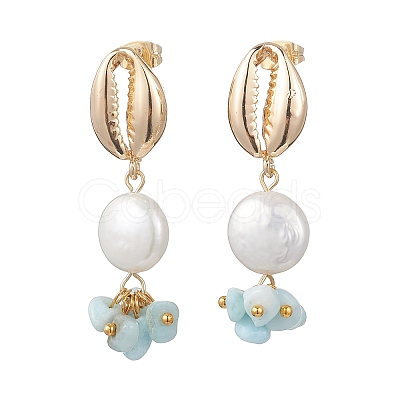 Shell Shape Natural Larimar Dangle Stud Earrings EJEW-JE07054-1
