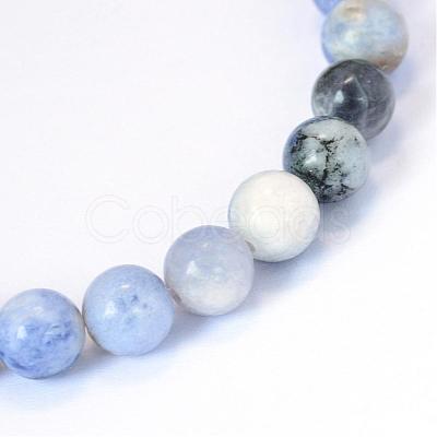 Natural Sodalite Round Bead Strands G-E334-4mm-08-1