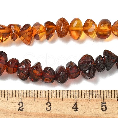 Gradient Color Natural Amber Beads Strands G-K387-F01-01-1