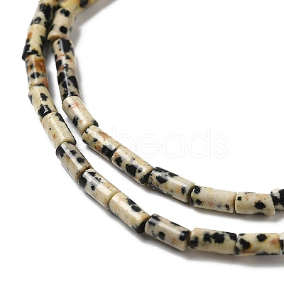 Natural Dalmatian Jasper Beads Strands G-E612-B01-1