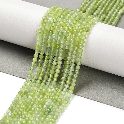 Natural Xiuyan Jade Beads Strands G-Z074-A04-01-1
