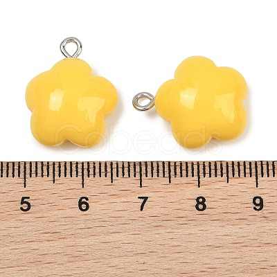 Opaque Resin Pendants RE-CBAF00C-12C-1