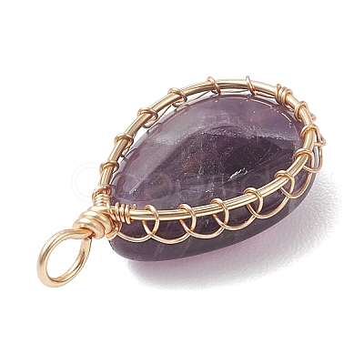 Natural Amethyst Pendants PALLOY-JF04776-03-1