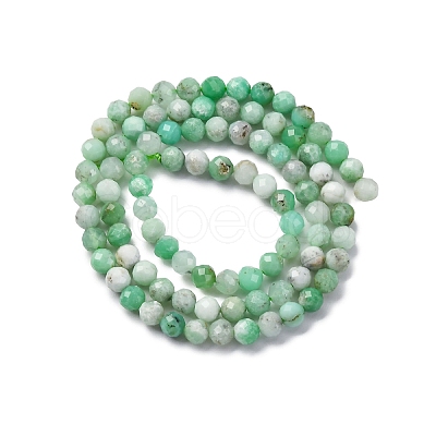 Natural Chrysoprase Beads Strands G-G195-A02-03-1