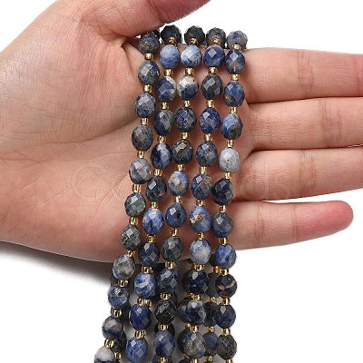 Natural Sodalite Beads Strands G-F809-A19-01A-1