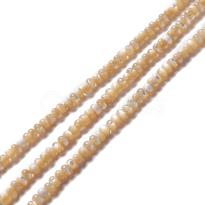 Natural Trochid Shell/Trochus Shell Beads Strands SSHEL-O001-24B-01-1