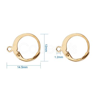 304 Stainless Steel Leverback Earring Findings X-STAS-G081-62G-1