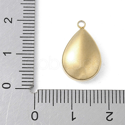 304 Stainless Steel Pendants STAS-S164-01C-G-1