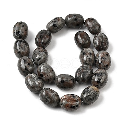 Natural Fluorescent Syenite Rock(Glow under UV Light) Beads Strands G-K362-D02-03-1