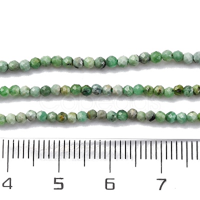 Natural Variscite Beads Strands G-G188-B05-03-1