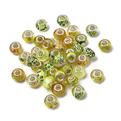 Printed Transparent Resin European Beads RESI-C063-03C-1