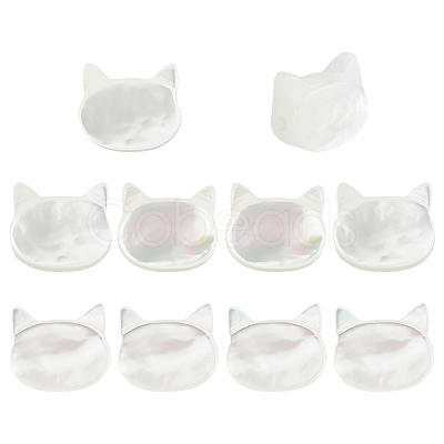 10Pcs Natural White Shell Beads SHEL-PH0001-71-1