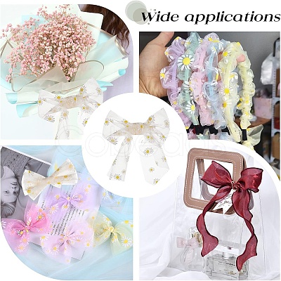 Organza Ribbons ORIB-WH0001-001-1