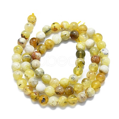 Natural Yellow Opal Beads Strands G-K245-A07-B02-1