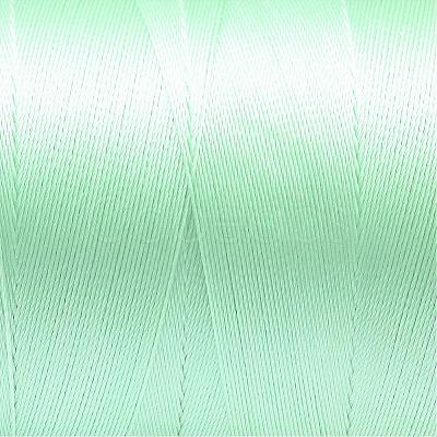 210D/3 Tex70 Nylon Sewing Thread NWIR-N006-01G-0.2mm-1