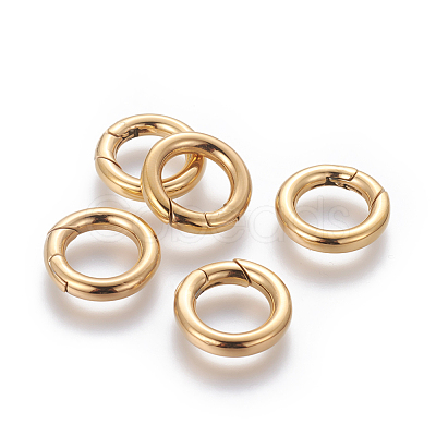 304 Stainless Steel Spring Gate Rings STAS-D070-01G-1-1