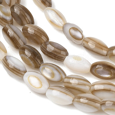 Natural Freshwater Shell Beads Strands SHEL-K006-78B-1