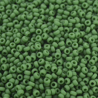 MIYUKI Round Rocailles Beads SEED-G007-RR0411F-1