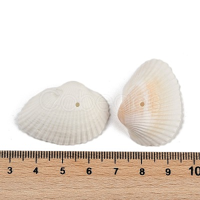 Natural Shell Beads SHEL-K009-15-1