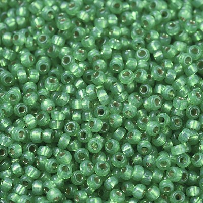 MIYUKI Round Rocailles Beads X-SEED-G007-RR0646-1