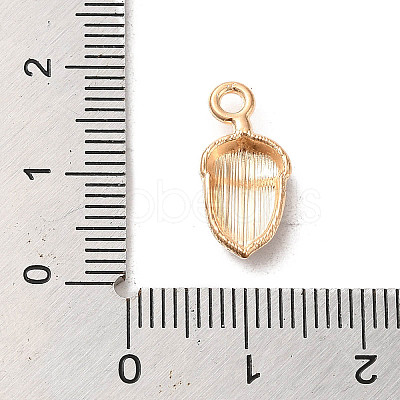 Alloy Enamel Pendants ENAM-E064-25KCG-14-1