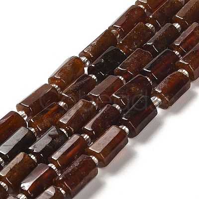 Natural Garnet Beads Strands G-N327-06-19-1