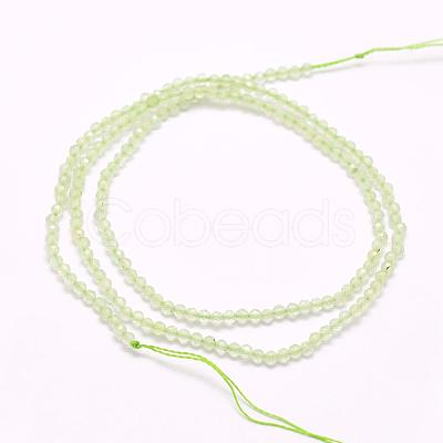 Natural Prehnite Beads Strands G-F509-30-2mm-1