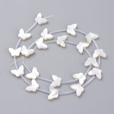 Natural White Shell Mother of Pearl Shell Beads SSHEL-L018-013-1
