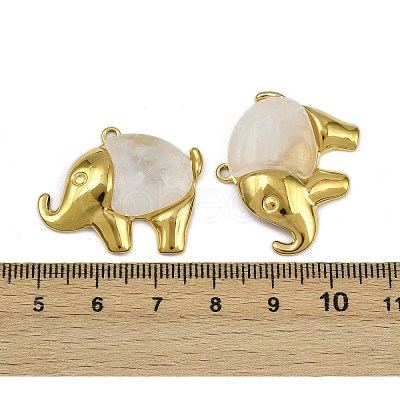 304 Stainless Steel Resin Pendants STAS-L302-05G-1