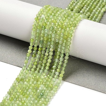 Natural Xiuyan Jade Beads Strands G-Z074-A04-01-1