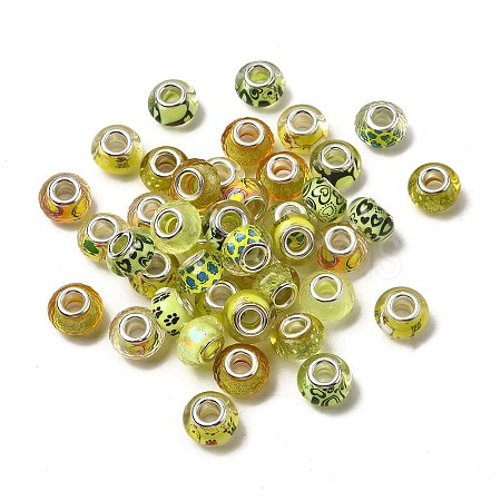 Printed Transparent Resin European Beads RESI-C063-03C-1