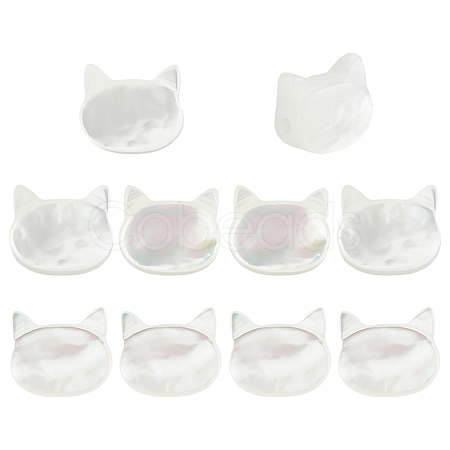 10Pcs Natural White Shell Beads SHEL-PH0001-71-1