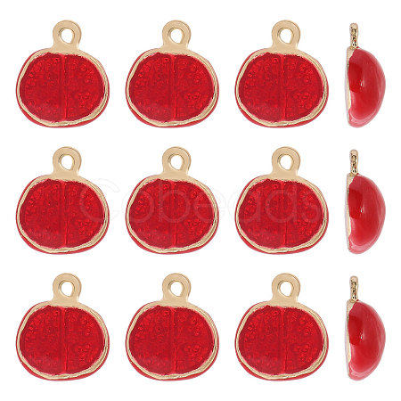 12Pcs Alloy Enamel Pendants FIND-CA0009-59-1
