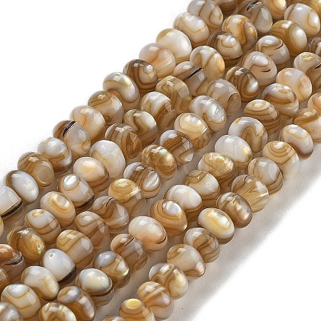 Natural Freshwater Shell Beads Strands X-BSHE-G038-05-1